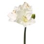 Umělá květina amaryllis BENITA, bílá, 55cm, Ø10cm