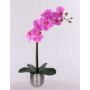 Umělá orchidej phalaenopsis EMILIA, v dekoračním květináči, růžová, 50cm