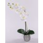 Umělá orchidej phalaenopsis EMILIA, v dekoračním květináči, bílá, 50cm