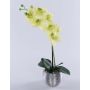 Umělá orchidej phalaenopsis EMILIA, v dekoračním květináči, krémovo-zelená, 50cm