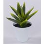 Umělá aloe vera ROSALINA v keramickém květináči, zelená, 21cm
