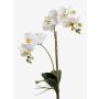 Umělá orchidej phalaenopsis CANDIDA na zápichu, bílá, 65cm