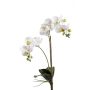 Umělá orchidej phalaenopsis CANDIDA na zápichu, bílá, 65cm