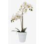 Umělá orchidej phalaenopsis CANDIDA v keramickém květináči, bílá, 65cm