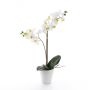 Umělá orchidej phalaenopsis CANDIDA v keramickém květináči, bílá, 65cm