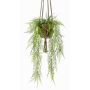Umělý asparagus v závěsném květináči SILIJA, terakotový květináč, 80cm