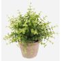 Umělý eukalyptus LUCANO v terakotovém květináči, zelená, 20cm, Ø20cm