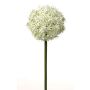 Umělé allium SAMARA, bílo-zelená, 75cm, Ø12cm