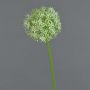 Umělé allium SAMARA, krémová, 75cm, Ø12cm