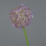 Umělé allium SAMARA, fialová, 75cm, Ø12cm