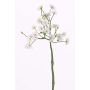 Umělá rostlina sedmikráska BELINA, bílá, 30cm, Ø1-1,5cm