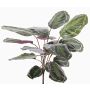 Umělá rostlina calathea medaillon BRIHANNA na zápichu, zelená, 75cm