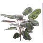 Umělá rostlina calathea medaillon BRIHANNA na zápichu, zelená, 75cm