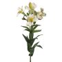 Umělá alstromérie AUBERTA, zeleno-bílá, bílo-zeleno-červená, 75cm, Ø6cm