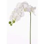 Umělá větev orchideje phalaenopsis GALINA, krémová, bílá, 60cm, Ø6-8cm