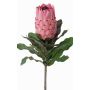 Umělá květina protea NELLI, růžovo-fuchsiová, 75cm, Ø8cm