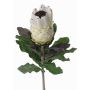 Umělá květina protea NELLI, bílo-žlutá, 75cm, Ø8cm