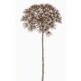 Umělý bolševník ANSARI, hnědá, 80cm, Ø22cm