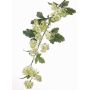 Umělá kalina japonská SOTRIO, zelená, 85cm, Ø3-4cm
