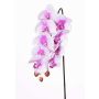 Umělá větev orchideje phalaenopsis ENISA, růžovo-bílá, 60cm, Ø7-8cm