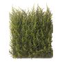 Umělý živý plot cypřiš NEOH, pro interiér i exteriér, světle zelená, 25x25cm