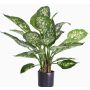 Umělá dieffenbachia DILLA, zeleno-bílá, 50cm