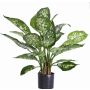 Umělá dieffenbachia DILLA, zeleno-bílá, 50cm