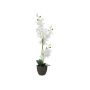 Umělá orchidej phalaenopsis KATALIN, dekorativní květináč, bílá, 80cm