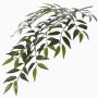 Umělá větev Smilax JURIA, zelená, 70cm