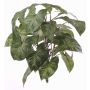 Umělé syngonium RUBEN na zápichu, zeleno-bílá, 40cm