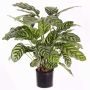 Umělá Calathea Makoyana GODE, zelenožlutá, 65cm