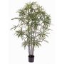 Umělá Aralia CARLIE, umělé kufry, zelená, 150cm