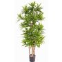 Umělá Dracaena Reflexa JEMIMA, přírodní stonky, zelená, 120cm