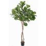 Art Ficus Lyrata HARVEY, přírodní kufry, zelené, 190cm