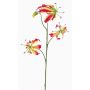 Umělá glorióza TIANA, fuchsiovo-žlutá, 85cm, Ø9-10cm