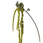 Plastová větev amaranthus YASIN s květy, zelená, 125cm
