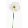 Textilní gerbera HELLI, krémová, 65cm, Ø12cm