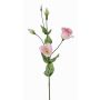 Umělý Lisianthus JUDIKA, růžovo-bílo-zelený, 70cm, Ø6-7cm
