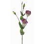 Umělý Lisianthus JUDIKA, fialovozelený, fialovo-bílo-zelený, 70cm, Ø6-7cm