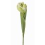 Umělý tulipán ROMANA, zelenobílý, 45cm, Ø6cm