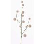 Umělá okrasná cibule EMRAH, krémová, 80cm, Ø3-4,5cm