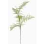 Umělá větev Asparagus plumosus HAYDON, zelená, 85cm