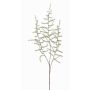 Umělá větev Asparagus acutifolius JOCHEN, zelená, 70cm