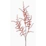 Umělá větev Asparagus acutifolius JOCHEN, oranžová, 70cm