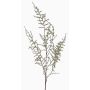 Umělá větev Asparagus acutifolius JOCHEN, zelená, 130cm
