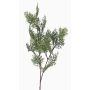 Umělá větev cypřiš FROWIN, zelená, 80cm