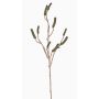 Větev na čištění uměleckých lahví SIRIUS s ovocem, zelená, 90cm