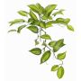 Umělé listy Vanilla Planifolia Orchid CHARIS, tyčinka, zelenožlutá, 45cm