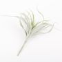 Plastová Tillandsia Stricta ADELE na tyči, zeleno-šedá, 20cm, Ø20cm