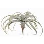 Plastic Tillandsia Cituje ANELIA na špejli, zelenošedá, 30cm